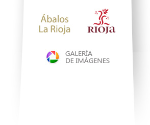 denominación de origen calificada rioja y galería de fotos